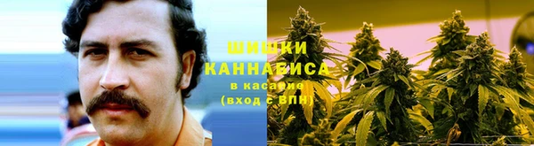 прущая мука Каменка