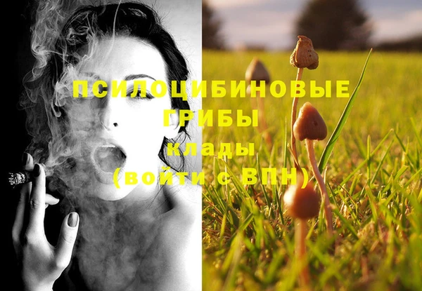 spice Каменск-Шахтинский