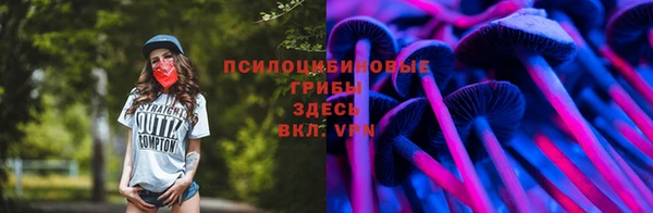 гидропоника Касимов