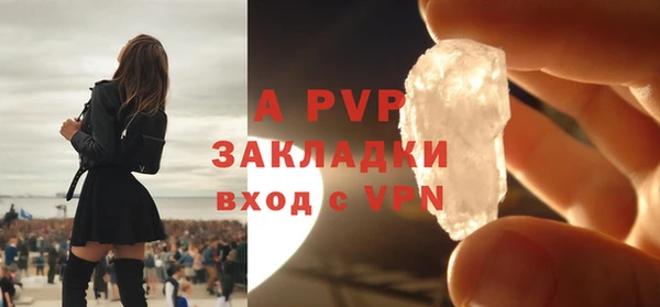 ГАЛЛЮЦИНОГЕННЫЕ ГРИБЫ Инсар