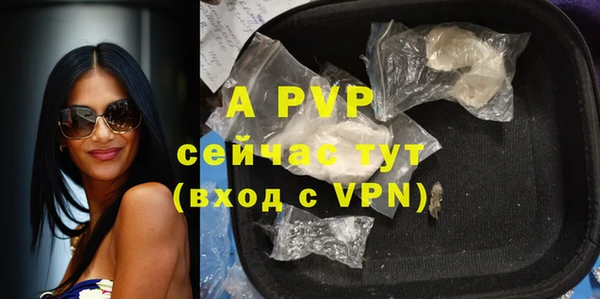 дурь Инта