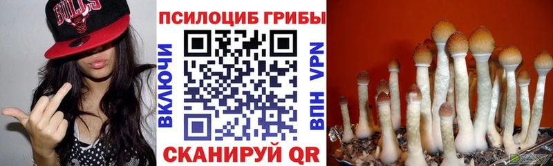 Галлюциногенные грибы GOLDEN TEACHER  Ачинск 